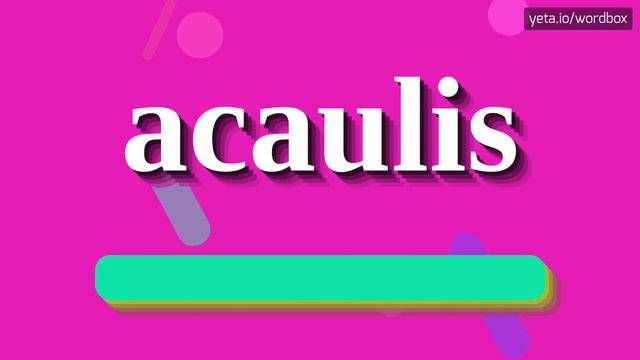 ACAULIS - HOW TO PRONOUNCE IT!? смотреть онлайн