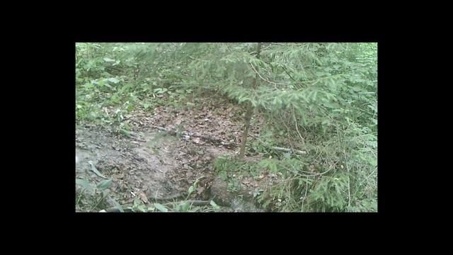 Барсучата июнь 2018. Badgers June 2018 смотреть онлайн