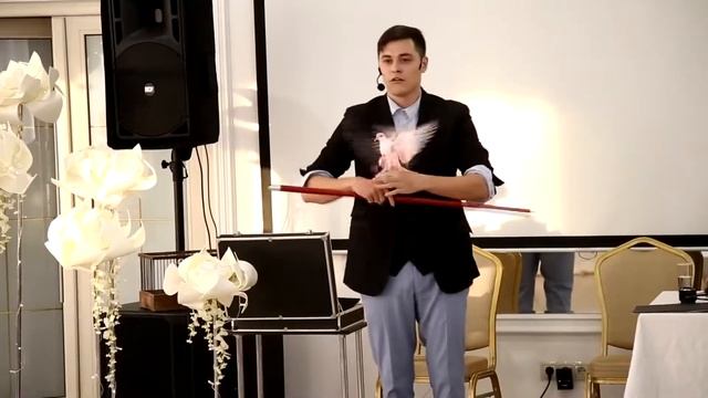 Фокусник Николай Усов. Самара. Студия Грандиозных Праздников Варвары Вишни.