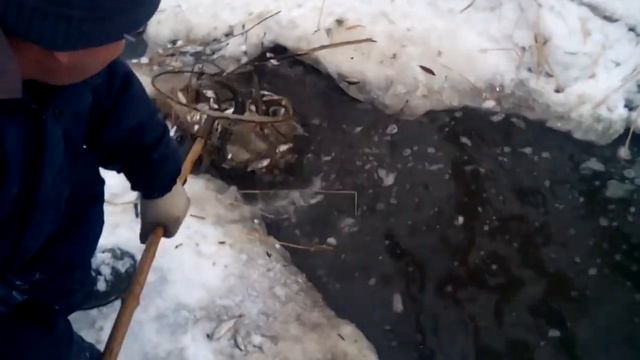 Зимняя рыбалка сачком, такой рыбалки вы ещё не видели. смотреть онлайн