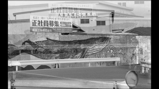 Nikon S3 〜 Medium telephoto lens 〜 Ilford Panf Plus 50 смотреть онлайн