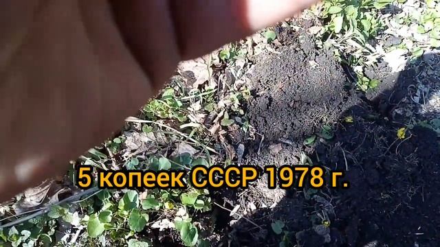 Коп с Nokta Makro Simplex+. Серебро, монеты, ВОП получился классный коп)) смотреть онлайн