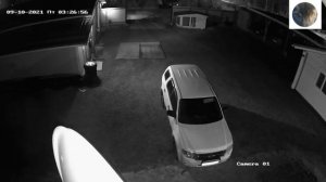 Нападения волков на собак . новые случаи. Часть 3