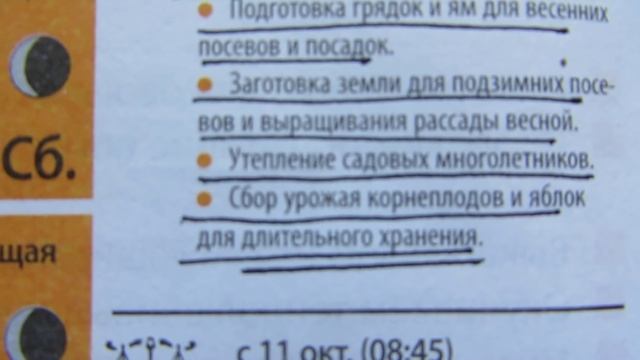 ОКТЯБРЬ(2часть) ЛУННЫЙ КАЛЕНДАРЬ НА ОКТЯБРЬ. смотреть онлайн