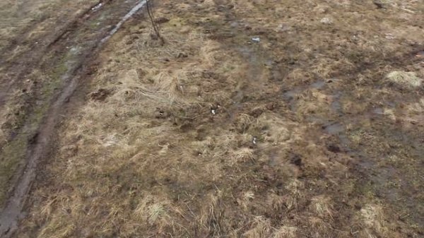 встреча клуба волговодов GAZ-AUTOCLUB.MSK.RU