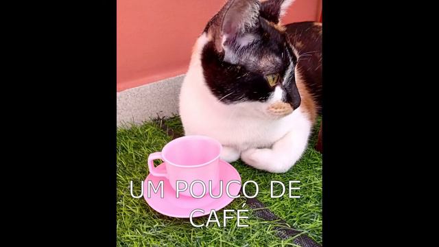 ROTINA DA MANHÃ 2021 [Cansei de ser gato!] #SHORT смотреть онлайн