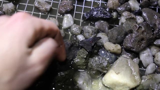 Shark Tooth Hunting Frenzy! Another Successful Night Hunt! смотреть онлайн