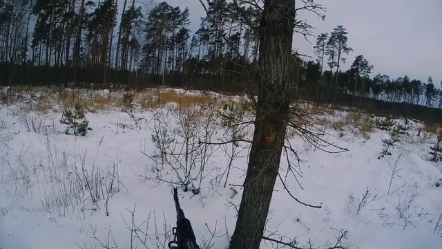 Лоси вышли на меня.Загонная охота 2022. смотреть онлайн