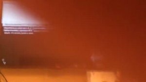 Zelda breath of the wild.Где найти перцы и приготовить их.|Nintendo Switch