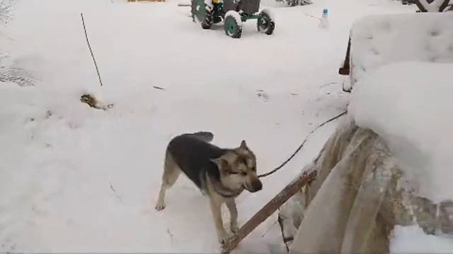 Запчасти для ЮМЗ смотреть онлайн