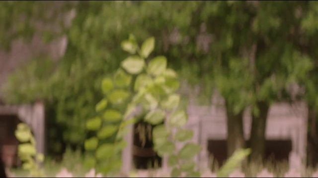 Tell The World - "Spune Lumii" (Filmul complet, subtitrat in limba romana) смотреть онлайн