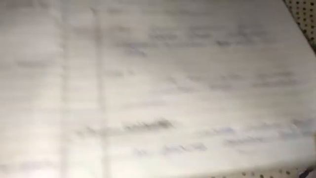 Family malvaceae (cotton family) смотреть онлайн