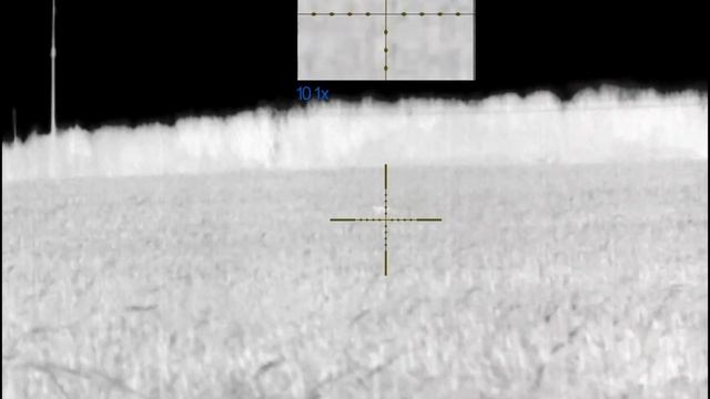 Лиса на 180 метров. 9.6/53 ланкастер. тк 518 от Техкрим. Pulsar Trail 2 Lrf . Ночная охота на лису.