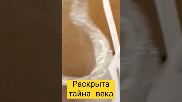 СМОТРЕТЬ ВСЕМ раскрыта тайна века откуда у ветроловов ветер смотреть онлайн