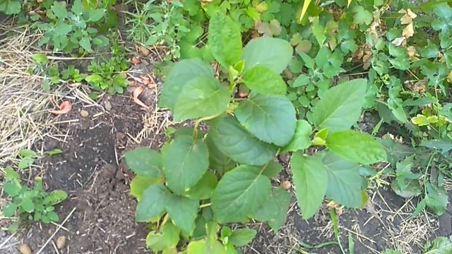 Посылка из Агрофирмы Поиск. смотреть онлайн