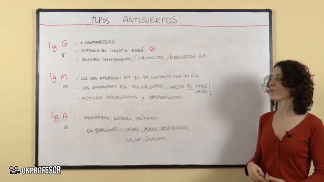 Tipos de anticuerpos o inmunoglobulinas смотреть онлайн