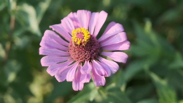 Как я понимаю счастье.Истории из жизни.Душевные истории.Любовные истории.Интересный АудиоРоман.