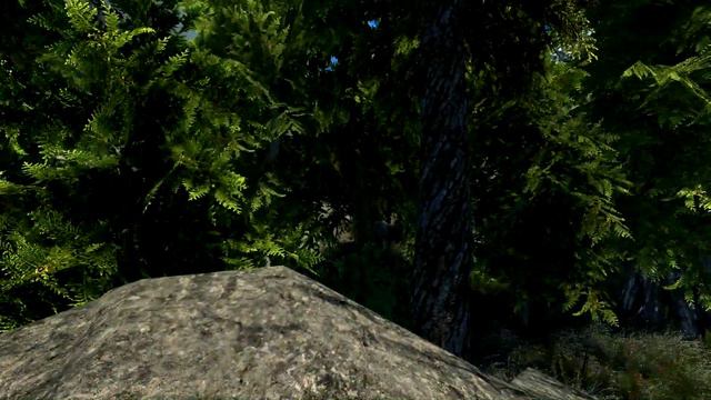 Skyrim SE - Exploring The Falkreath Hold Forest (XB1) смотреть онлайн