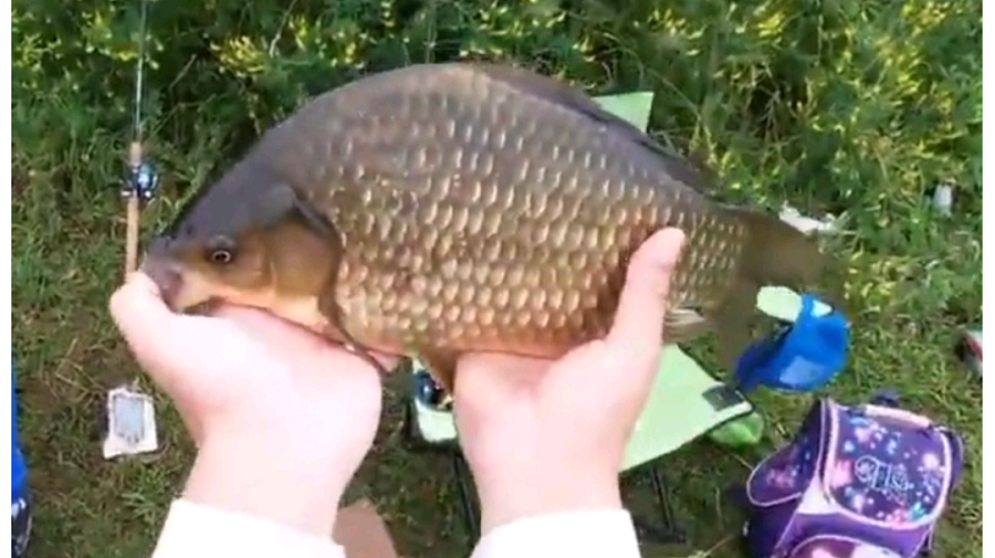 КРУПНЫЙ КАРАСЬ ЗА КИЛЛОГРАММ!!! Наконец то он клюнул...