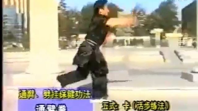 УШУ  ТУМБЭЙ !!!  Тунбэй цюань Хань Чжидэ    ч 1