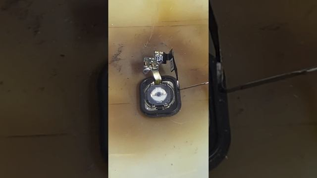 iPhone SE перестала работать кнопка Home ? смотреть онлайн