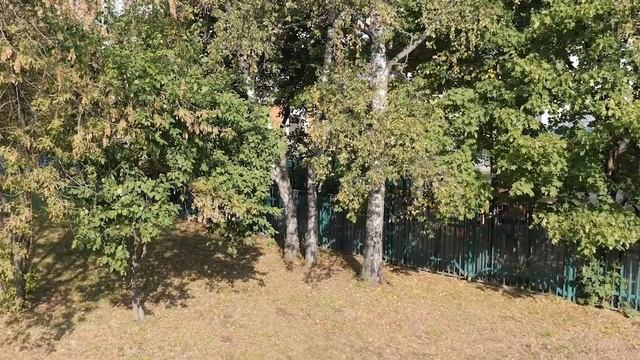 Откуда плохие мысли Как не потерять покой в Боге Силуан Афонский 720p смотреть онлайн