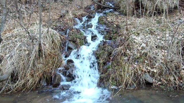 Лесной ручей, звуки леса...успокаивающий шум воды. смотреть онлайн