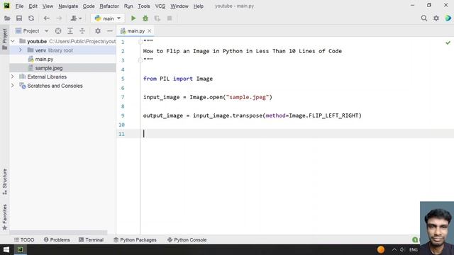 How to Flip an Image in Python in Less Than 10 Lines of Code смотреть онлайн