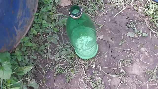 Обработка клубники фуфаноном смотреть онлайн