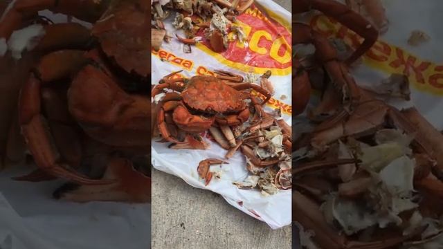 Вареные крабы смотреть онлайн