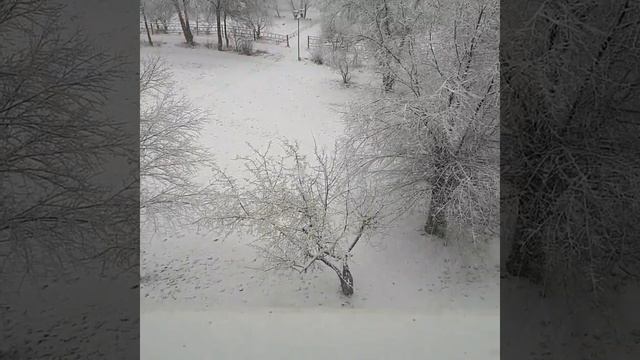 наша погода плюс Мини -история смотреть онлайн