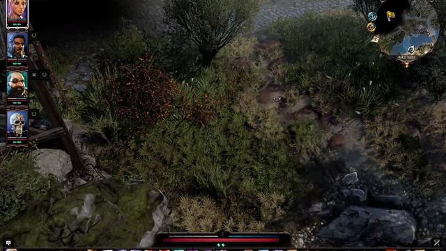 Divinity: Original Sin 2 прохождение ❤ ДИВИНИТИ 2 ❤#35 Тайник Мейстры и Рыбный Тайник Дрифтвуд