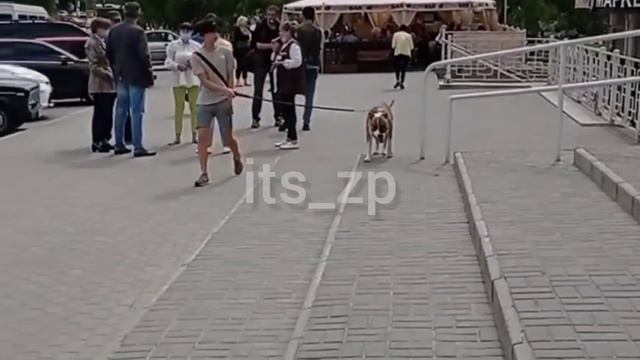 Минирование ТЦ Запорожье смотреть онлайн