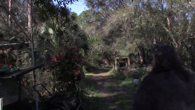 Cute Bunnies, Composting Worms, Chickens, and Veggies at the Funky Chicken Farm in Palm Bay, Florid смотреть онлайн