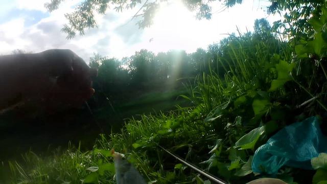 СУПЕР-РЫБАЛКА НА ПЛОТВУ. Ловля рыбы на поплавок летом. Рыбалка на поплавок. смотреть онлайн