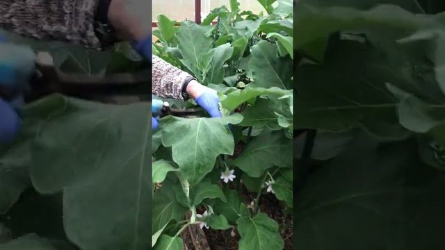 Строительные Штрихи