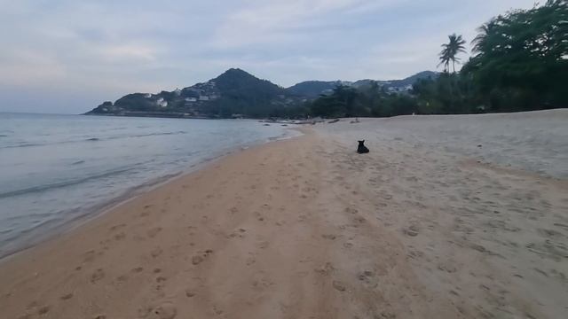 Visiting Chaweng Noi Beach From Bhundhari Chaweng Beach Resort Koh Samui บุณฑรีก์เฉวงถึงหาดเฉวงน้อย