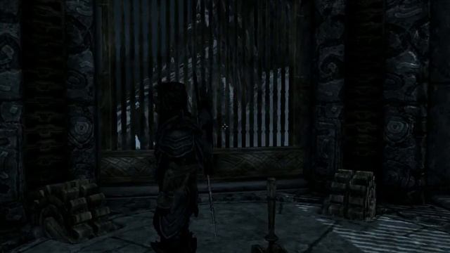 TES V Skyrim
