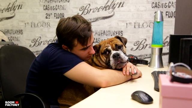 КОГДА У ТЕБЯ ЕСТЬ СОБАКА смотреть онлайн