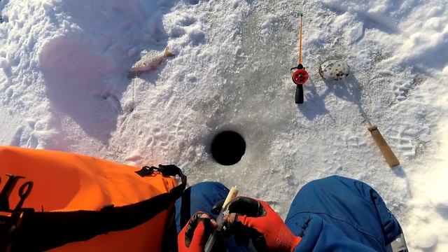 Плотва клюет если ее найти! Ловля плотвы на тесто в Глухозимье смотреть онлайн