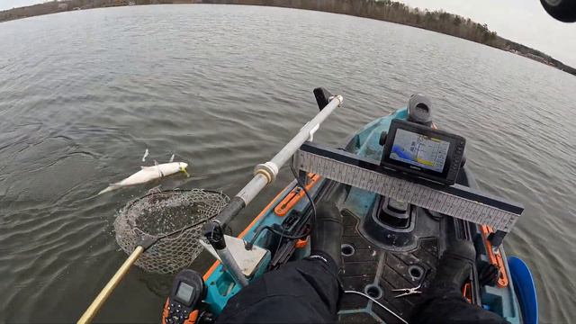 Kayak striper fishing смотреть онлайн