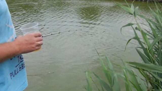 Лучшие рыбаки г.Новочеркасска смотреть онлайн