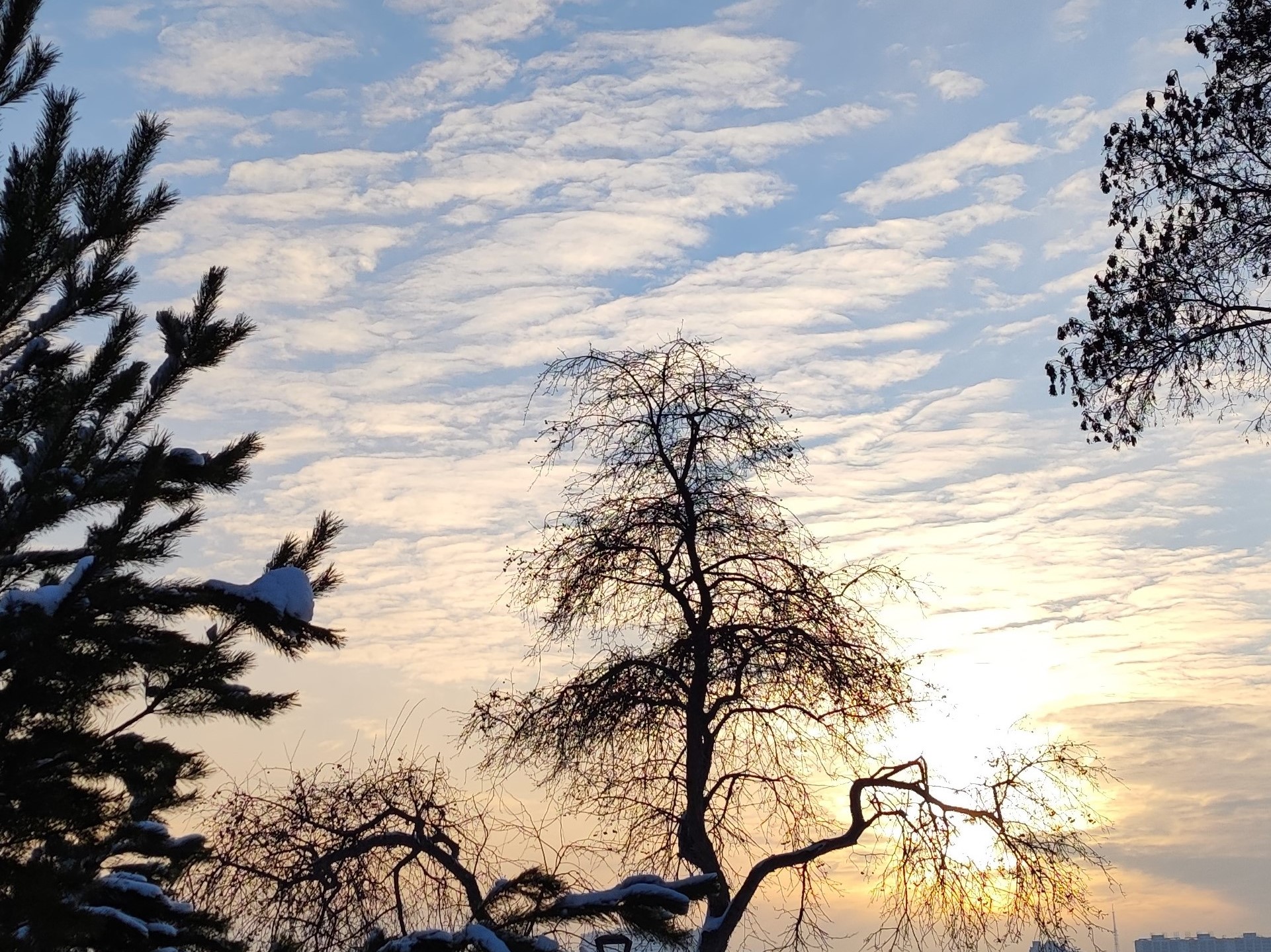 Вечерняя заря на зимней набережной смотреть онлайн