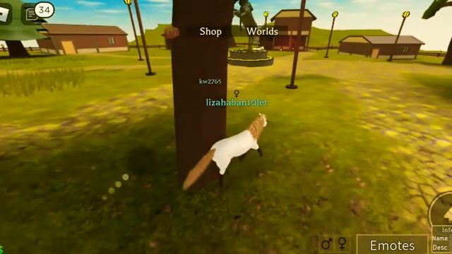 играю в симулятор лошади? роблокс смотреть онлайн