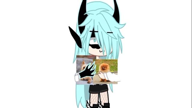 #Гача #Животные #обожаю собачек особенно Йоркширский терьеров и Шпицев ❤ смотреть онлайн