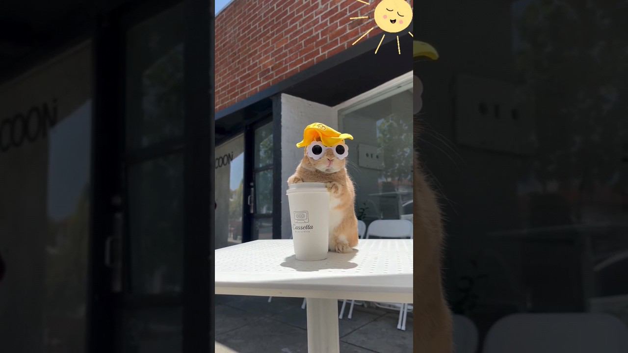 Летнее настроение смотреть онлайн