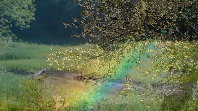 Спасибо Земля. Стихи читает автор. смотреть онлайн