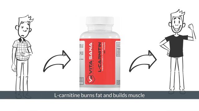 L-Carnitine смотреть онлайн