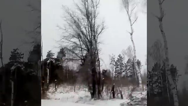 1 марта :) весна пришла ? :) смотреть онлайн