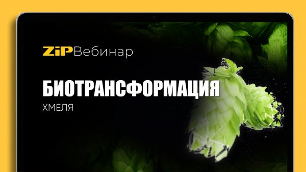 БИОТРАНСФОРМАЦИЯ ХМЕЛЯ Webinar